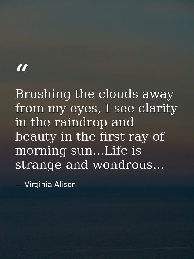 Brushing the clouds away from my eyes, I see clarity in the raindrop and beauty in the first ray of morning sun...Life i — Virginia Alison