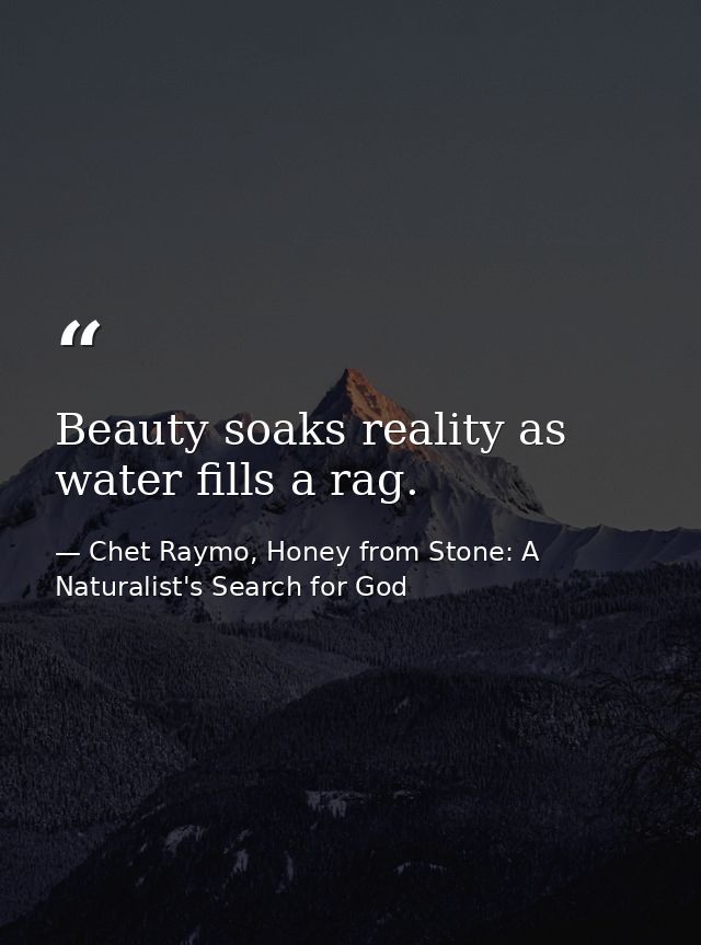 Beauty soaks reality as water fills a rag. — Chet Raymo, Honey from Stone: A Naturalist's Search for God