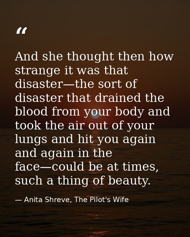 And she thought then how strange it was that disaster—the sort of disaster that drained the blood from your body and too — Anita Shreve, The Pilot's Wife
