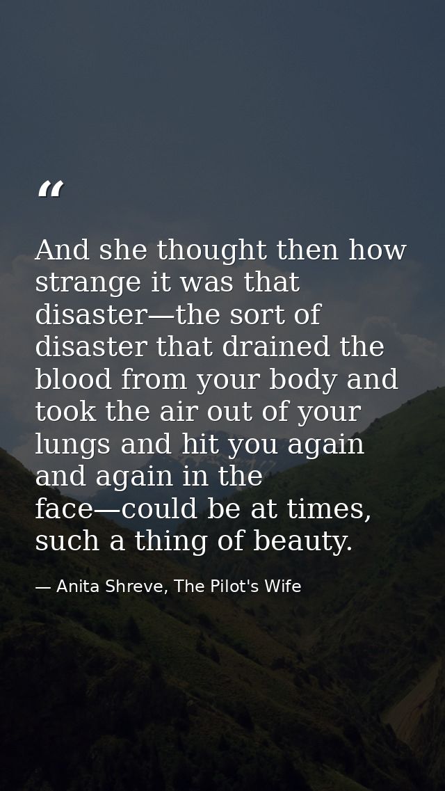 And she thought then how strange it was that disaster—the sort of disaster that drained the blood from your body and too — Anita Shreve, The Pilot's Wife