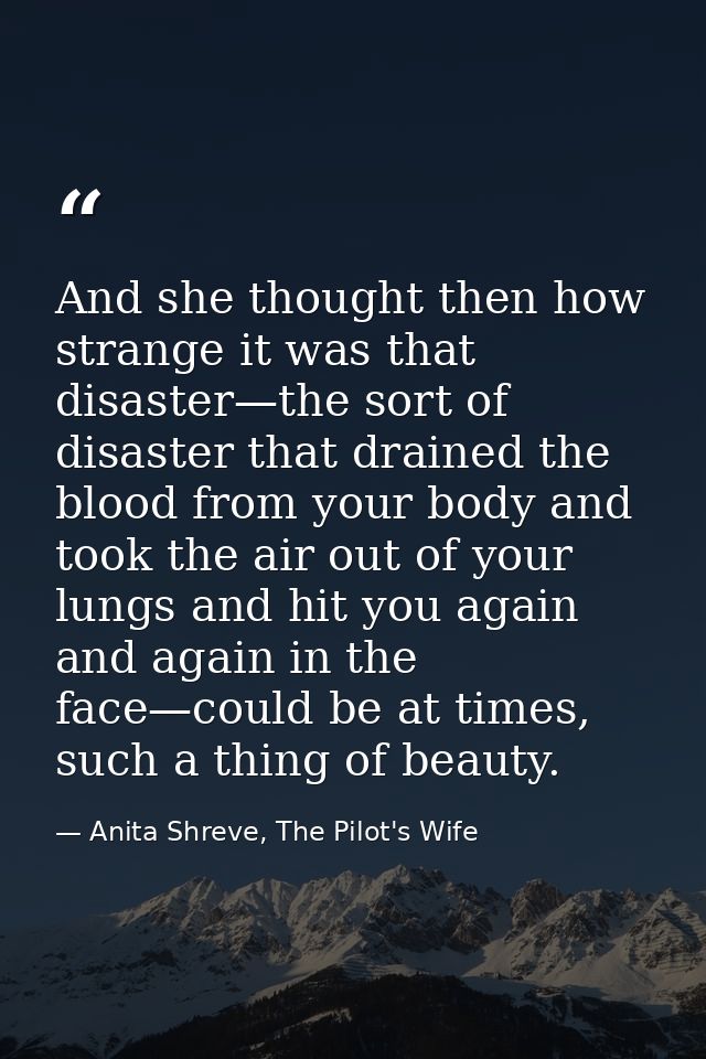 And she thought then how strange it was that disaster—the sort of disaster that drained the blood from your body and too — Anita Shreve, The Pilot's Wife