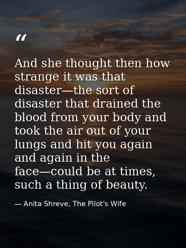 And she thought then how strange it was that disaster—the sort of disaster that drained the blood from your body and too — Anita Shreve, The Pilot's Wife