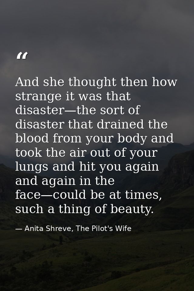 And she thought then how strange it was that disaster—the sort of disaster that drained the blood from your body and too — Anita Shreve, The Pilot's Wife