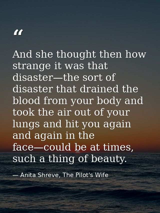 And she thought then how strange it was that disaster—the sort of disaster that drained the blood from your body and too — Anita Shreve, The Pilot's Wife