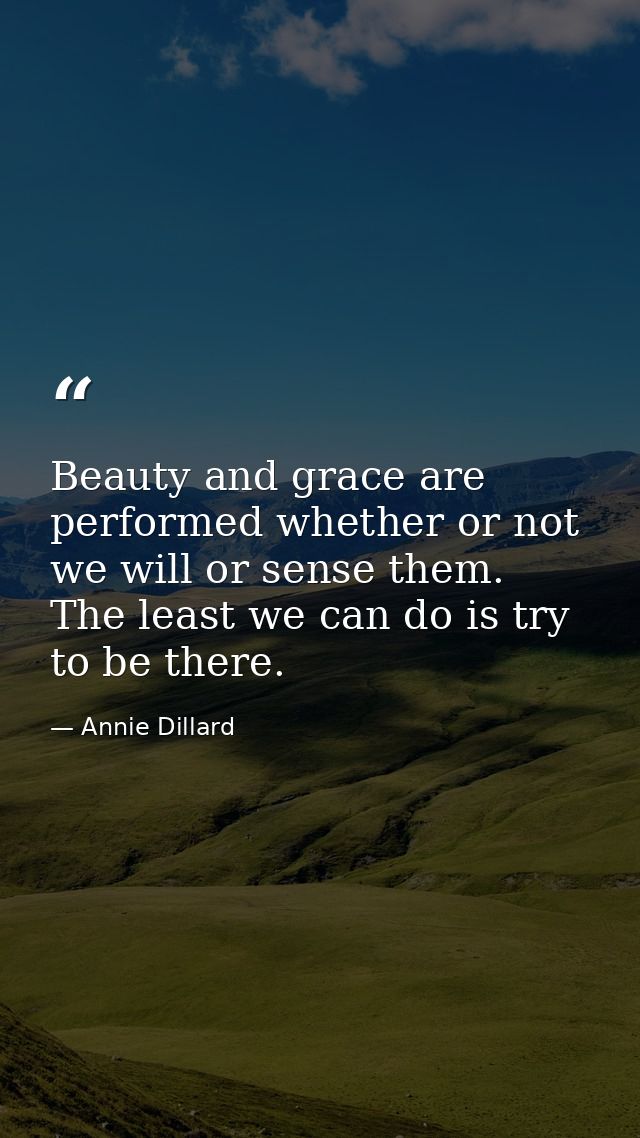 Beauty and grace are performed whether or not we will or sense them. The least we can do is try to be there. — Annie Dillard