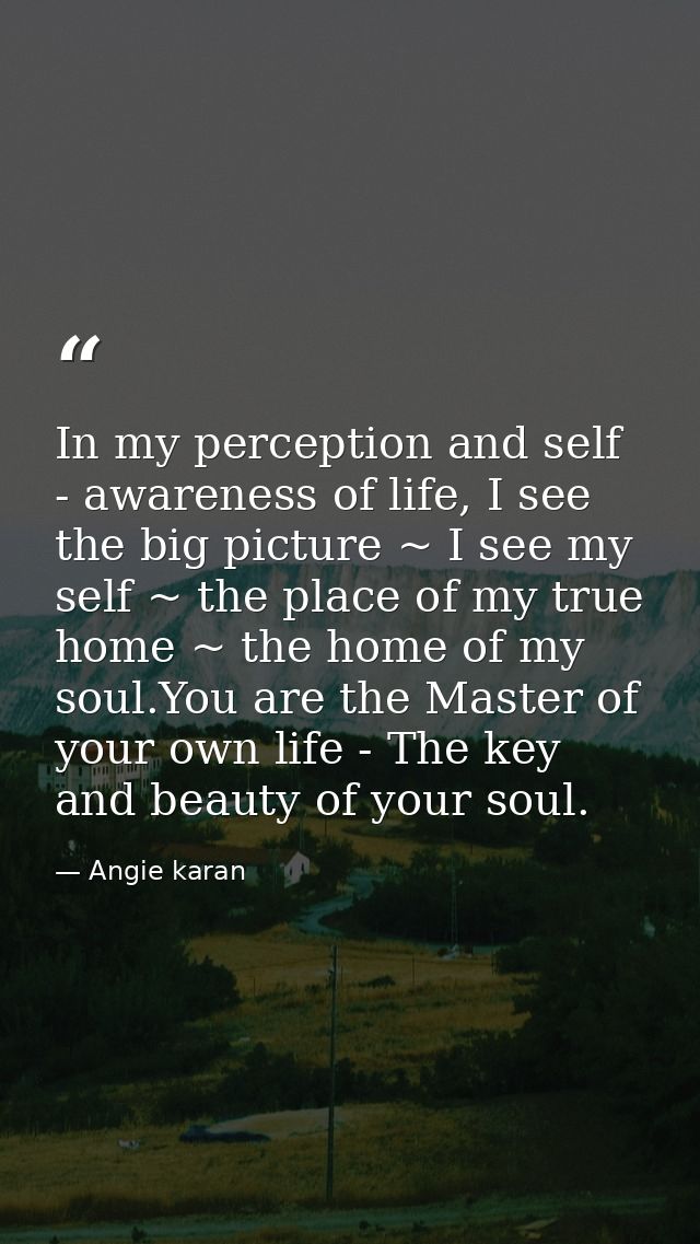In my perception and self - awareness of life, I see the big picture ~ I see my self ~ the place of my true home ~ the h — Angie karan