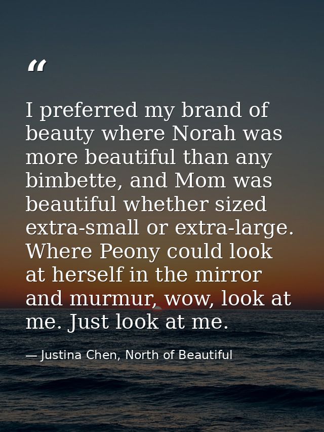 I preferred my brand of beauty where Norah was more beautiful than any bimbette, and Mom was beautiful whether sized ext — Justina Chen, North of Beautiful
