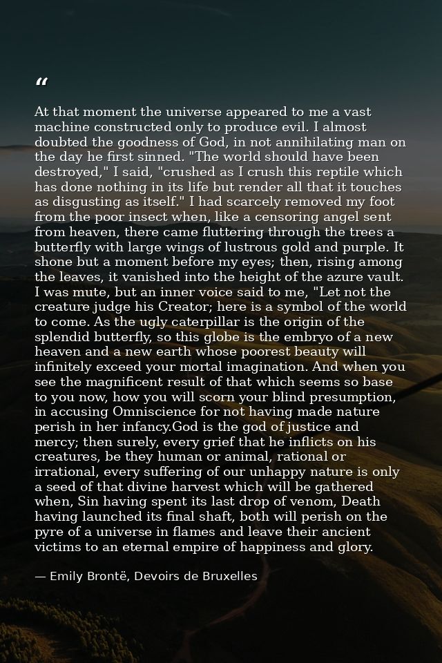 At that moment the universe appeared to me a vast machine constructed only to produce evil. I almost doubted the goodnes — Emily Brontë, Devoirs de Bruxelles