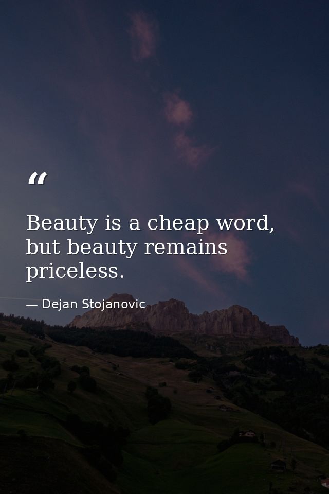 Beauty is a cheap word, but beauty remains priceless. — Dejan Stojanovic