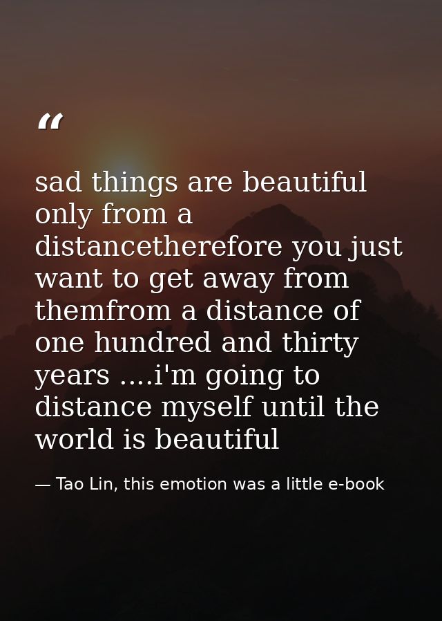 sad things are beautiful only from a distancetherefore you just want to get away from themfrom a distance of one hundred — Tao Lin, this emotion was a little e-book