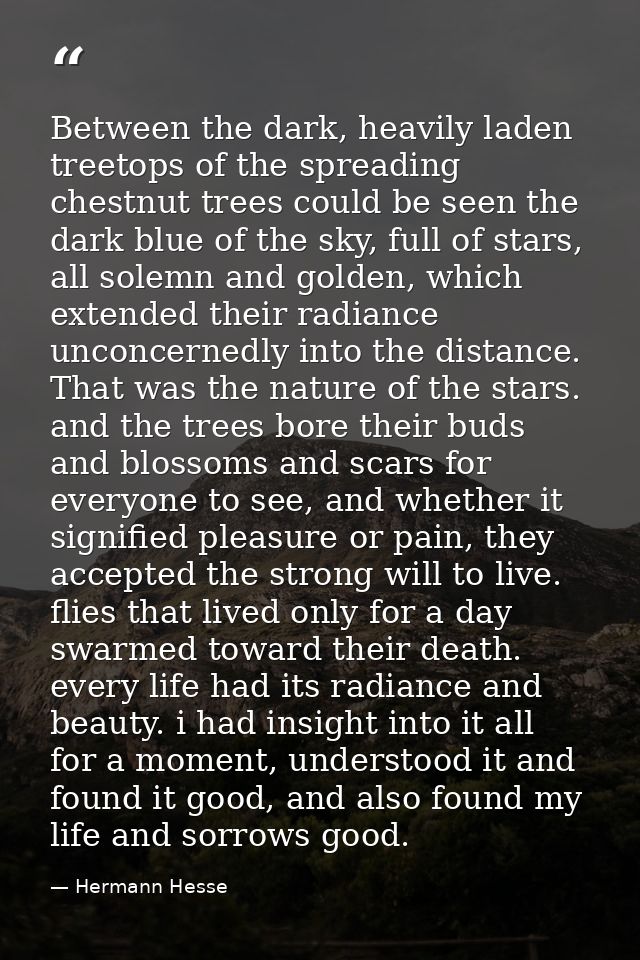 Between the dark, heavily laden treetops of the spreading chestnut trees could be seen the dark blue of the sky, full of — Hermann Hesse