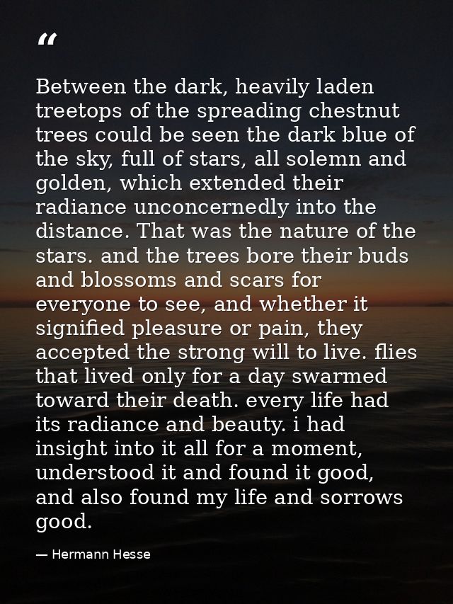 Between the dark, heavily laden treetops of the spreading chestnut trees could be seen the dark blue of the sky, full of — Hermann Hesse