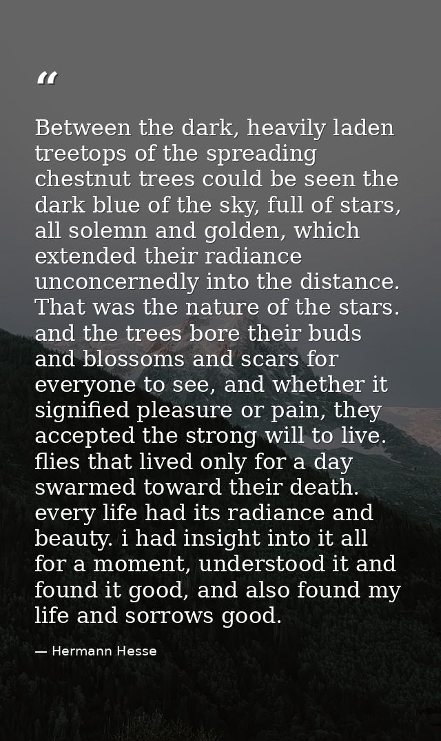 Between the dark, heavily laden treetops of the spreading chestnut trees could be seen the dark blue of the sky, full of — Hermann Hesse
