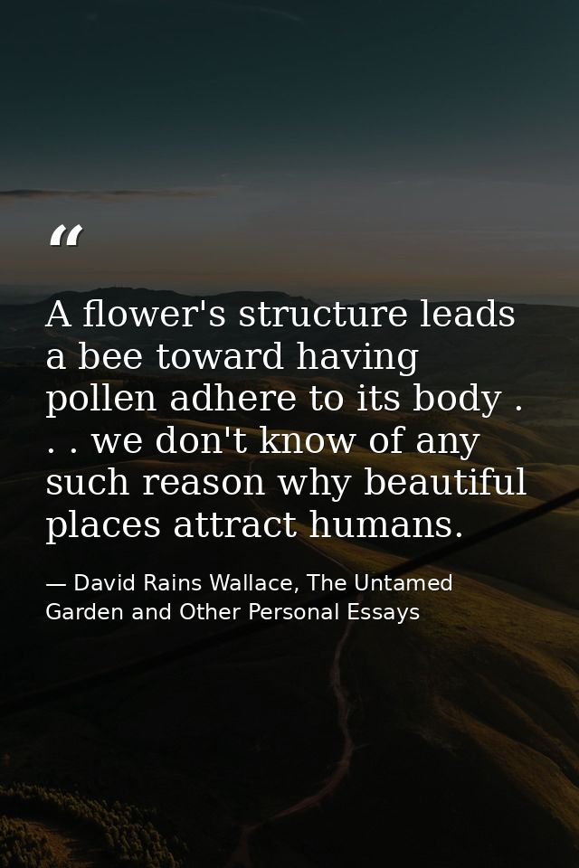 A flower's structure leads a bee toward having pollen adhere to its body . . . we don't know of any such reason why beau — David Rains Wallace, The Untamed Garden and Other Personal Essays
