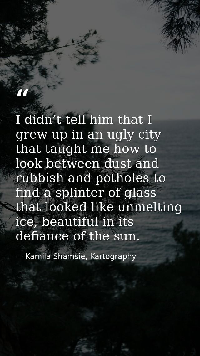 I didn’t tell him that I grew up in an ugly city that taught me how to look between dust and rubbish and potholes to fin — Kamila Shamsie, Kartography