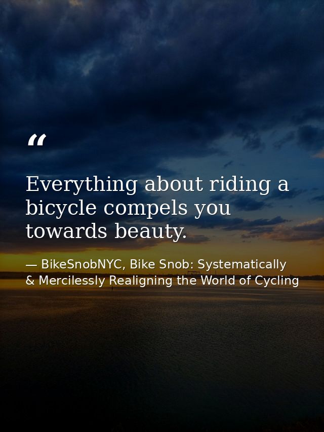 Everything about riding a bicycle compels you towards beauty. — BikeSnobNYC, Bike Snob: Systematically & Mercilessly Realigning the World of Cycling