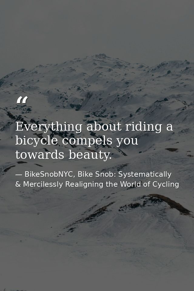 Everything about riding a bicycle compels you towards beauty. — BikeSnobNYC, Bike Snob: Systematically & Mercilessly Realigning the World of Cycling