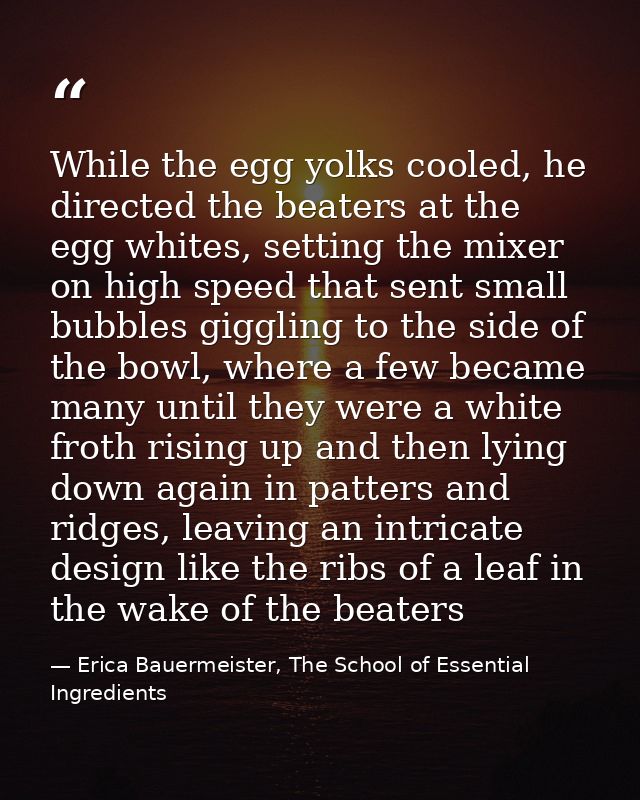 While the egg yolks cooled, he directed the beaters at the egg whites, setting the mixer on high speed that sent small b — Erica Bauermeister, The School of Essential Ingredients