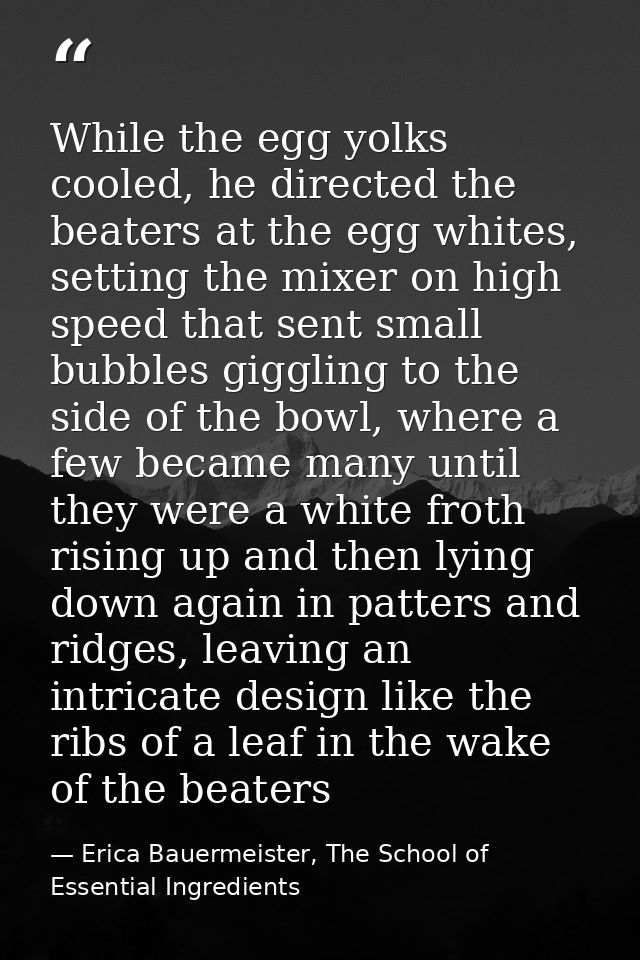 While the egg yolks cooled, he directed the beaters at the egg whites, setting the mixer on high speed that sent small b — Erica Bauermeister, The School of Essential Ingredients