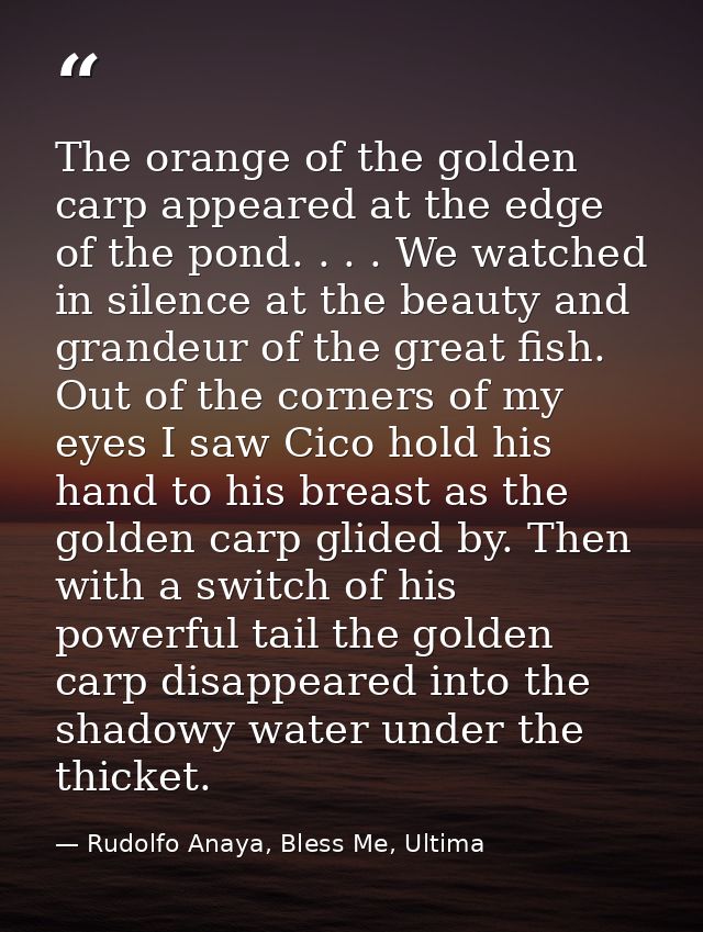 The orange of the golden carp appeared at the edge of the pond. . . . We watched in silence at the beauty and grandeur o — Rudolfo Anaya, Bless Me, Ultima