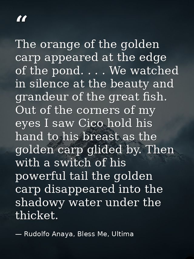 The orange of the golden carp appeared at the edge of the pond. . . . We watched in silence at the beauty and grandeur o — Rudolfo Anaya, Bless Me, Ultima