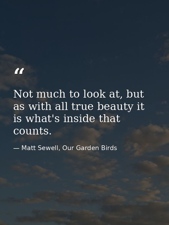 Not much to look at, but as with all true beauty it is what's inside that counts. — Matt Sewell, Our Garden Birds