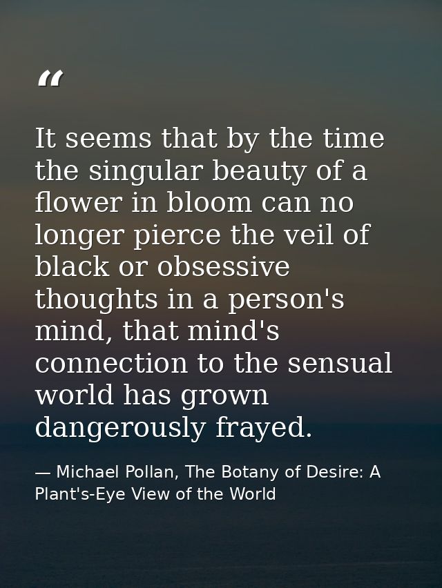 It seems that by the time the singular beauty of a flower in bloom can no longer pierce the veil of black or obsessive t — Michael Pollan, The Botany of Desire: A Plant's-Eye View of the World