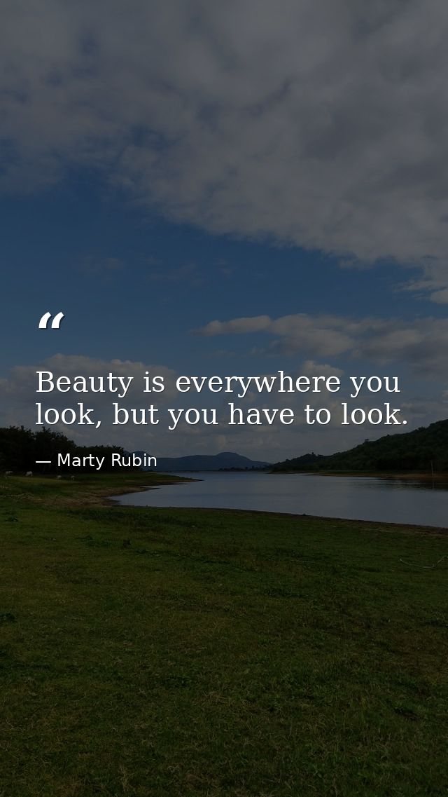 Beauty is everywhere you look, but you have to look. — Marty Rubin