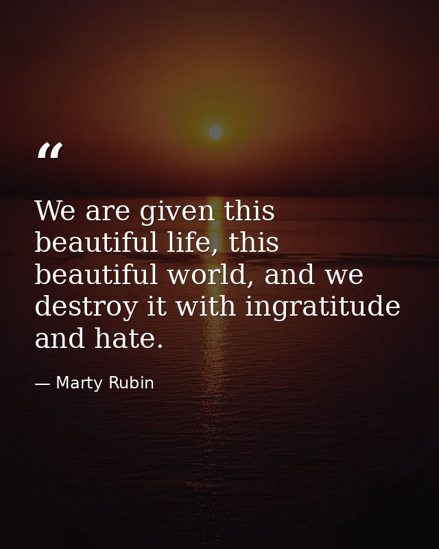 We are given this beautiful life, this beautiful world, and we destroy it with ingratitude and hate. — Marty Rubin