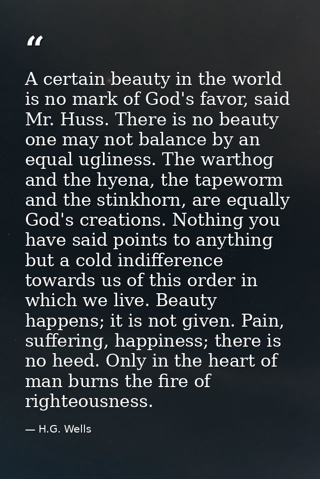 A certain beauty in the world is no mark of God's favor, said Mr. Huss. There is no beauty one may not balance by an equ — H.G. Wells