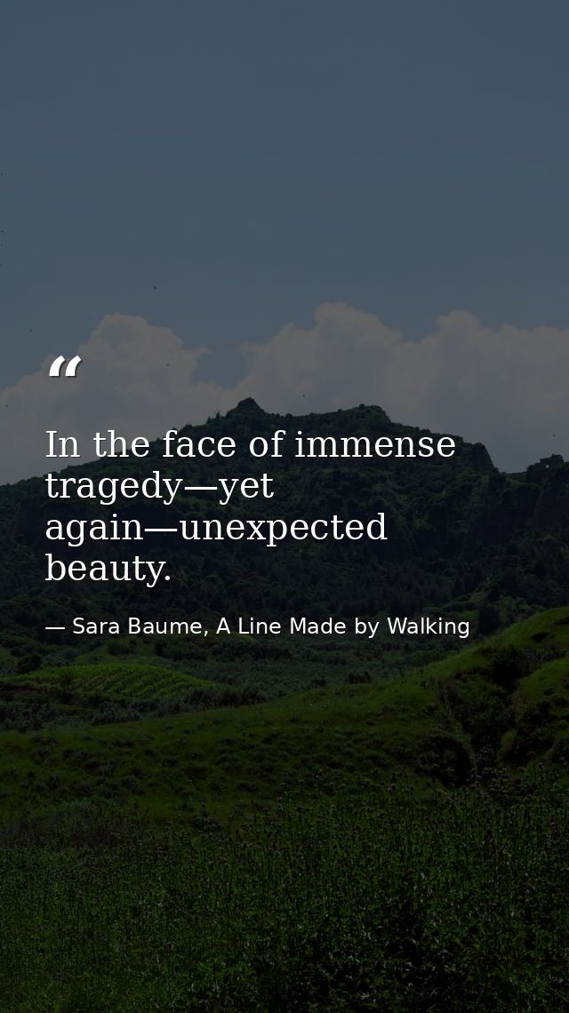 In the face of immense tragedy—yet again—unexpected beauty. — Sara Baume, A Line Made by Walking