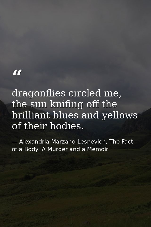 dragonflies circled me, the sun knifing off the brilliant blues and yellows of their bodies. — Alexandria Marzano-Lesnevich, The Fact of a Body: A Murder and a Memoir