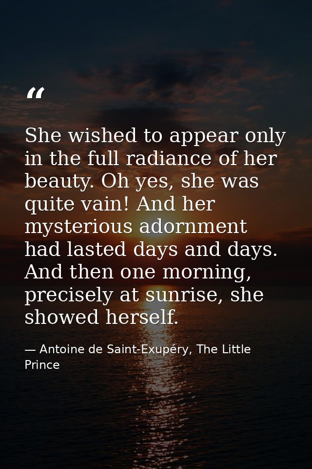 She wished to appear only in the full radiance of her beauty. Oh yes, she was quite vain! And her mysterious adornment h — Antoine de Saint-Exupéry, The Little Prince