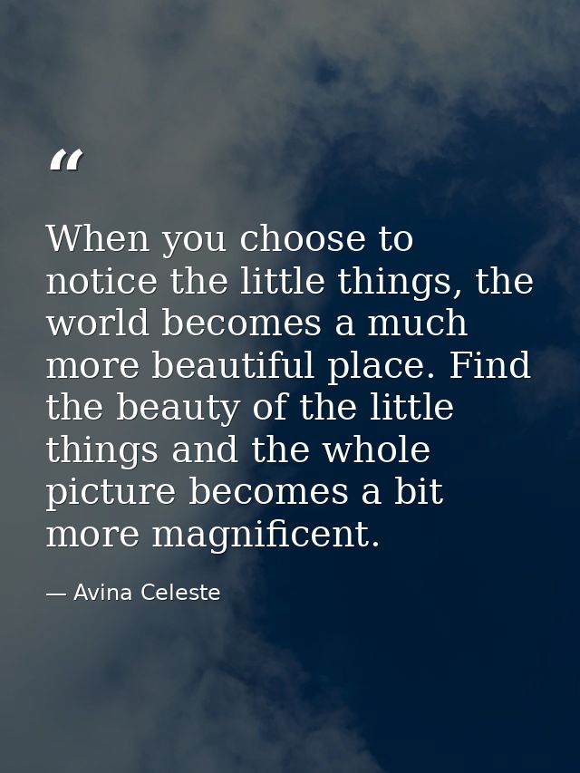 When you choose to notice the little things, the world becomes a much more beautiful place. Find the beauty of the littl — Avina Celeste