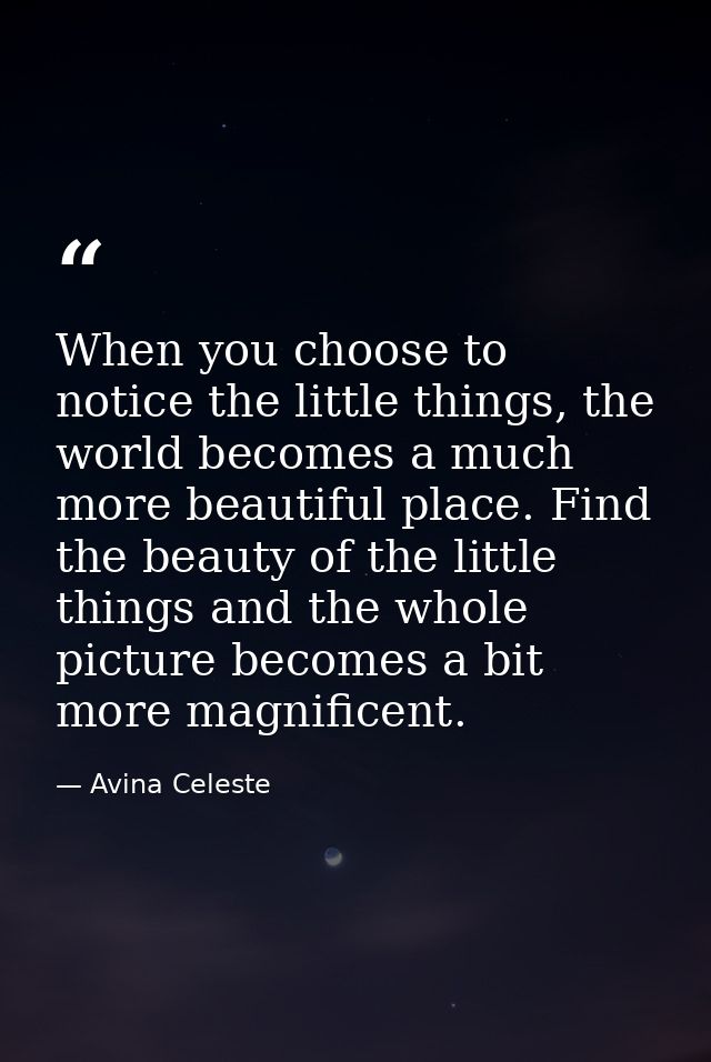 When you choose to notice the little things, the world becomes a much more beautiful place. Find the beauty of the littl — Avina Celeste