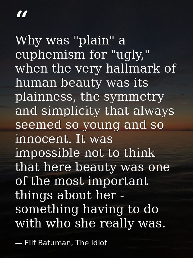 Why was "plain" a euphemism for "ugly," when the very hallmark of human beauty was its plainness, the symmetry and simpl — Elif Batuman, The Idiot