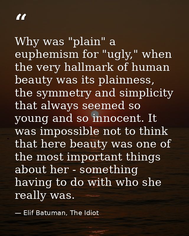 Why was "plain" a euphemism for "ugly," when the very hallmark of human beauty was its plainness, the symmetry and simpl — Elif Batuman, The Idiot