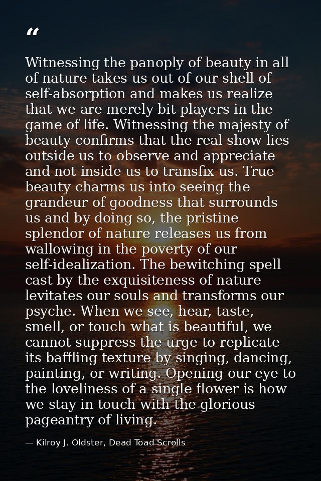 Witnessing the panoply of beauty in all of nature takes us out of our shell of self-absorption and makes us realize that — Kilroy J. Oldster, Dead Toad Scrolls