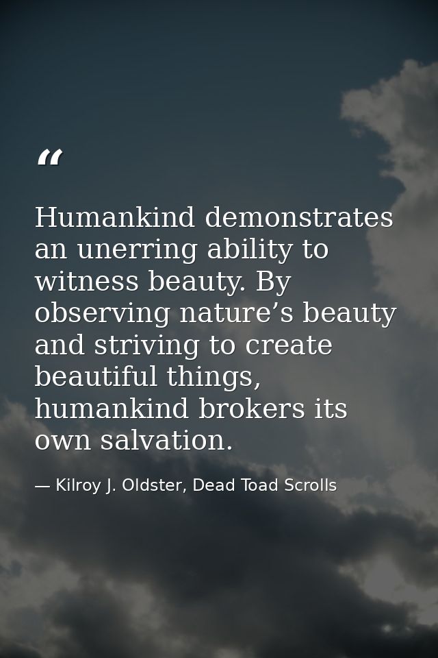 Humankind demonstrates an unerring ability to witness beauty. By observing nature’s beauty and striving to create beauti — Kilroy J. Oldster, Dead Toad Scrolls