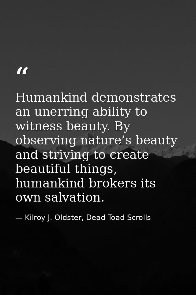 Humankind demonstrates an unerring ability to witness beauty. By observing nature’s beauty and striving to create beauti — Kilroy J. Oldster, Dead Toad Scrolls