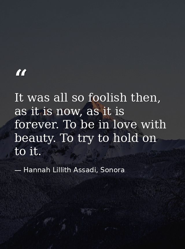 It was all so foolish then, as it is now, as it is forever. To be in love with beauty. To try to hold on to it. — Hannah Lillith Assadi, Sonora