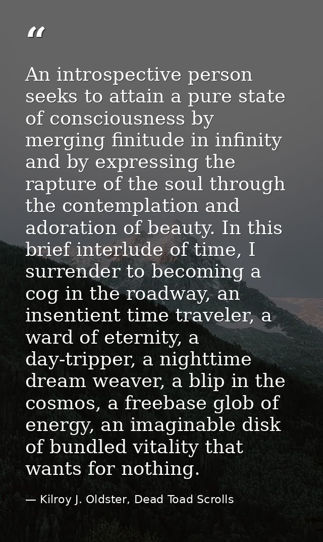 An introspective person seeks to attain a pure state of consciousness by merging finitude in infinity and by expressing  — Kilroy J. Oldster, Dead Toad Scrolls
