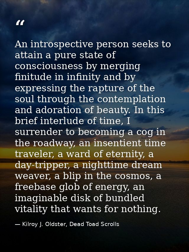 An introspective person seeks to attain a pure state of consciousness by merging finitude in infinity and by expressing  — Kilroy J. Oldster, Dead Toad Scrolls