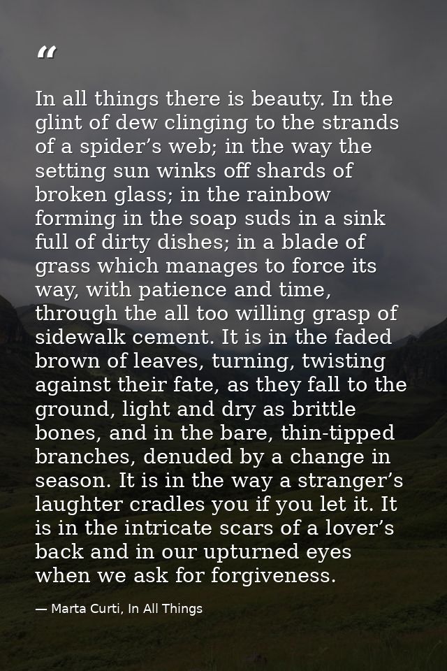 In all things there is beauty. In the glint of dew clinging to the strands of a spider’s web; in the way the setting sun — Marta Curti, In All Things