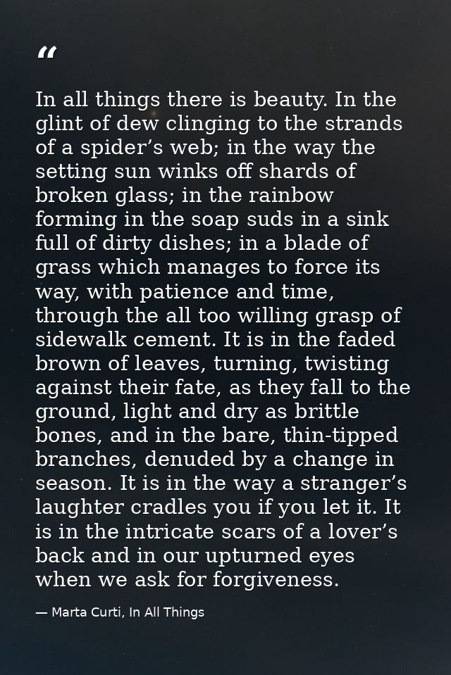 In all things there is beauty. In the glint of dew clinging to the strands of a spider’s web; in the way the setting sun — Marta Curti, In All Things