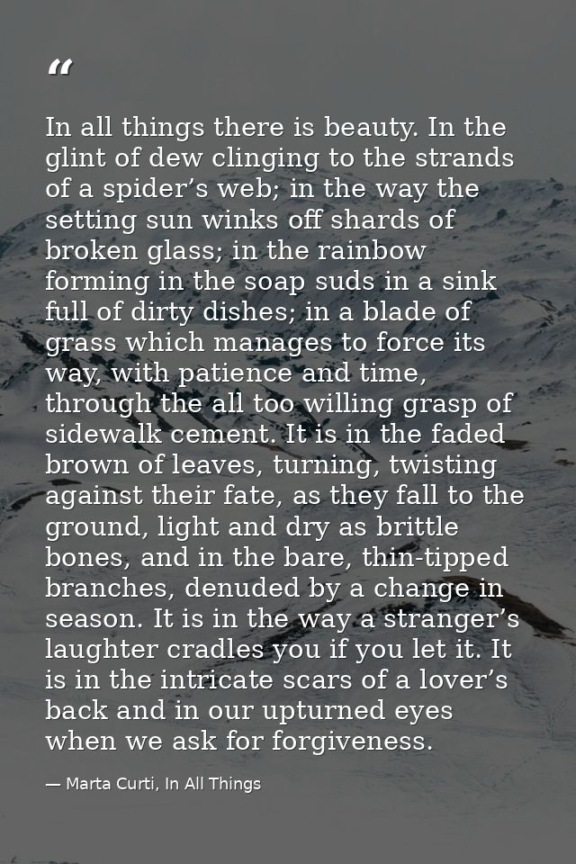 In all things there is beauty. In the glint of dew clinging to the strands of a spider’s web; in the way the setting sun — Marta Curti, In All Things