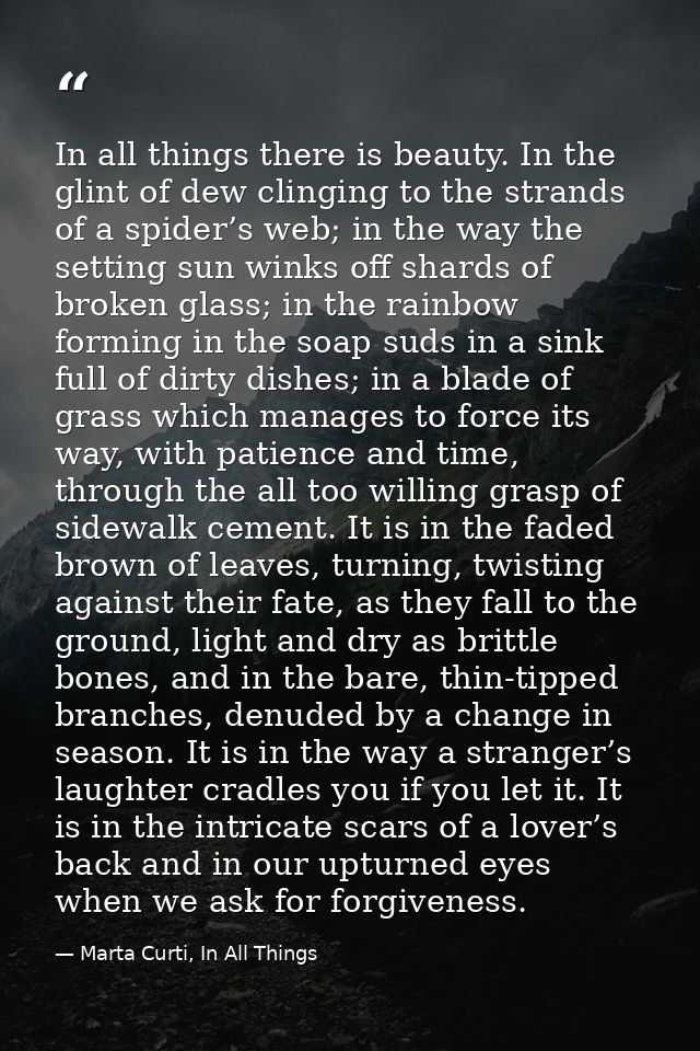 In all things there is beauty. In the glint of dew clinging to the strands of a spider’s web; in the way the setting sun — Marta Curti, In All Things