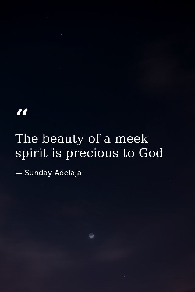 The beauty of a meek spirit is precious to God — Sunday Adelaja