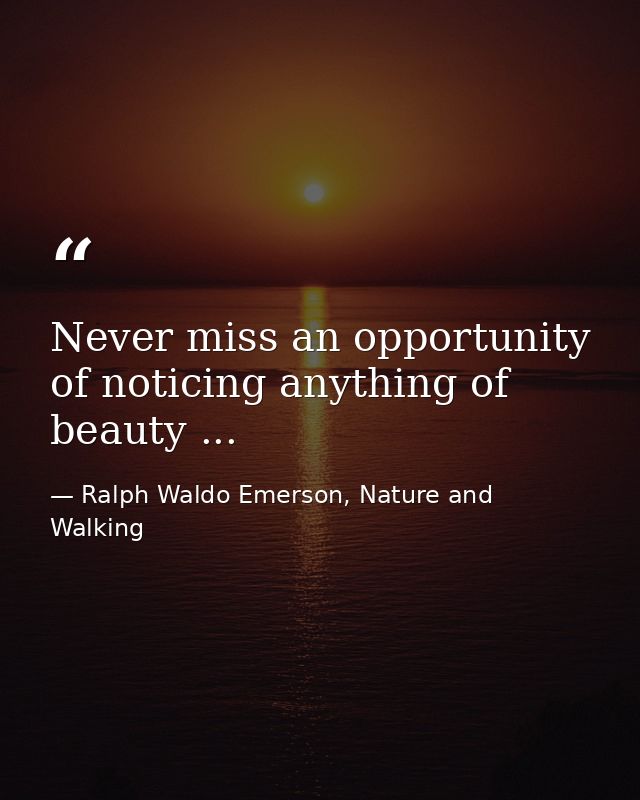 Never miss an opportunity of noticing anything of beauty ... — Ralph Waldo Emerson, Nature and Walking