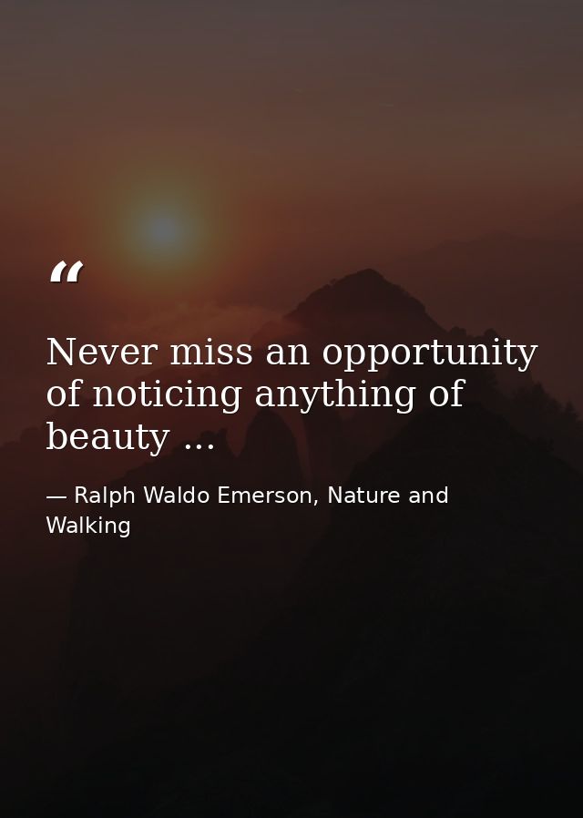 Never miss an opportunity of noticing anything of beauty ... — Ralph Waldo Emerson, Nature and Walking